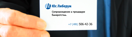 Банкротство физических и юридических лиц в 2019 году. Москва