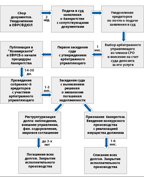 Банкротство юридических лиц 2024 года. Пошаговая инструкция